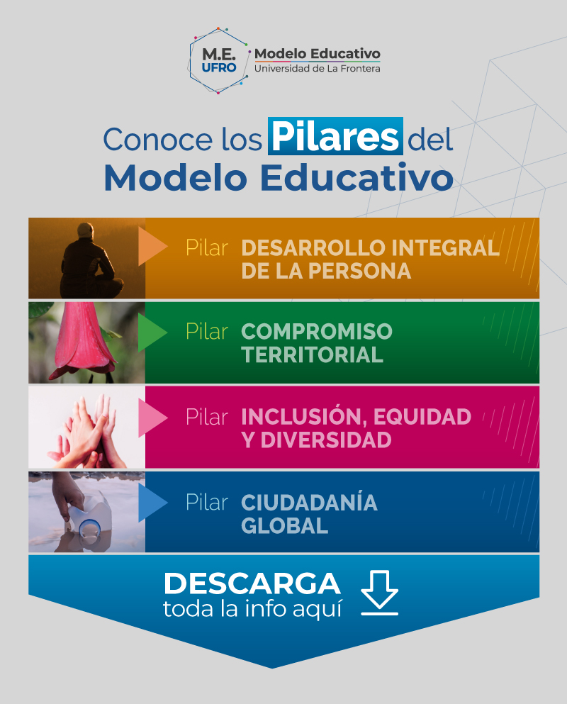 pilares modelo educativo
